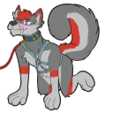 Sticker Dayzer Good Boy - 0