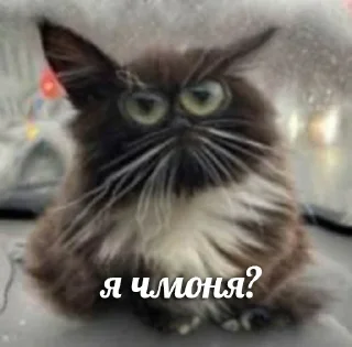 Стикер Больше стикеров 👉🏻 @stickertg4 - 10