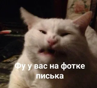 Стикер Больше стикеров 👉🏻 @stickertg4 - 9