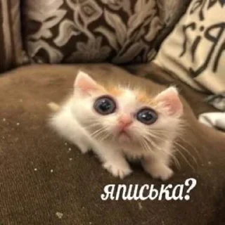 Стикер Больше стикеров 👉🏻 @stickertg4 - 3