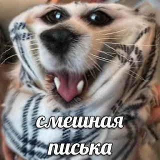 Стикер Больше стикеров 👉🏻 @stickertg4 - 11