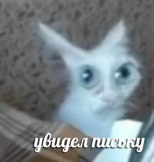 Стикер Больше стикеров 👉🏻 @stickertg4 - 0