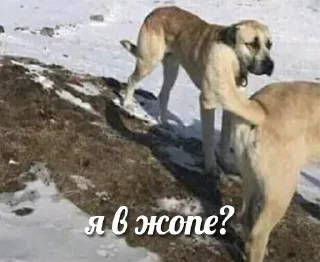 Стикер Больше стикеров 👉🏻 @stickertg4 - 8