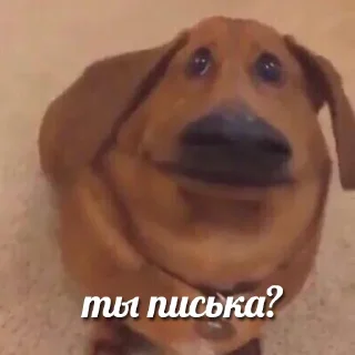 Стикер Больше стикеров 👉🏻 @stickertg4 - 7