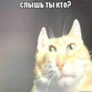 Стикер Больше стикеров 👉🏻 @stickertg4 - 4