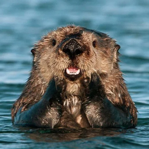 Sticker Дазай-сан бебрик - 11