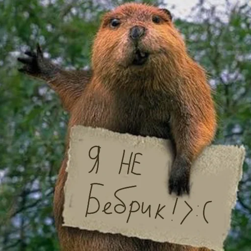 Sticker Дазай-сан бебрик - 3