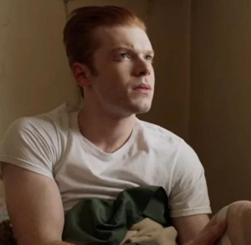 Человек человеческое лицо комнатный