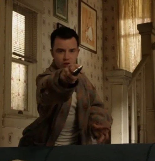 Человек человеческое лицо комнатный