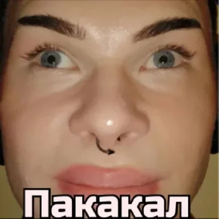 Sticker Полупокер by @stqrapp - 1