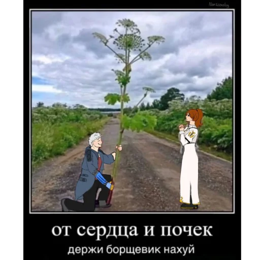 Стикер Ddevilmayccry - 1