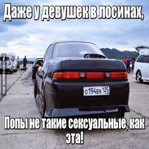 text vehicle land vehicle