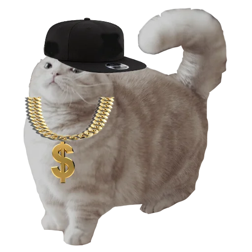 модный аксессуар животное