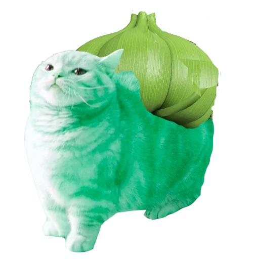 кошка животное