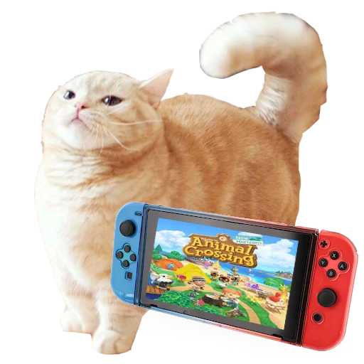 кошки малого и среднего размера кошачьи домашняя кошка