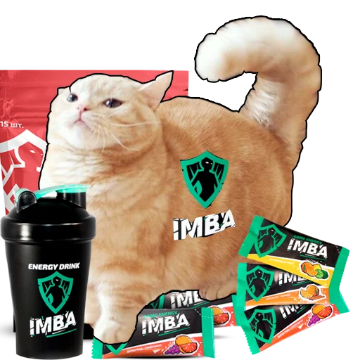 кошки малого и среднего размера кошачьи СМС