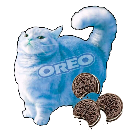 кошка животное