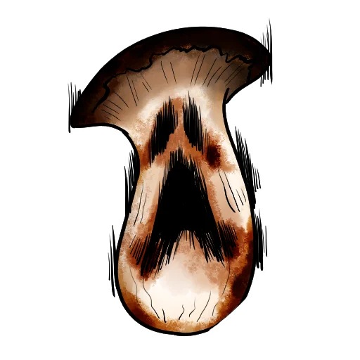 Sticker Dead Bear - 7