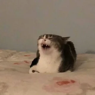 Sticker @dead_inside_mems коты:) - 11