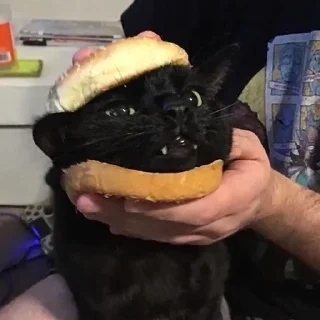 Sticker @dead_inside_mems коты:) - 4