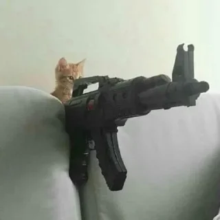 Sticker @dead_inside_mems коты:) - 6