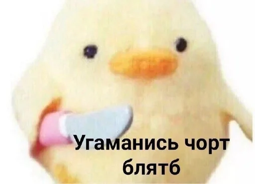 птица животное