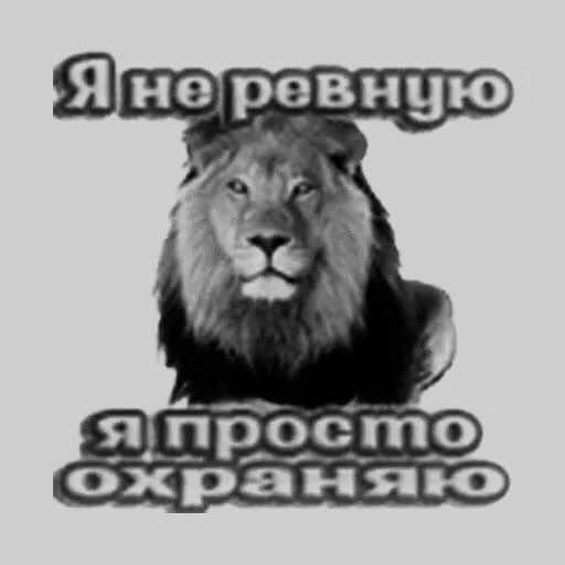 Sticker DearDiaryisalreadyfilled - 1