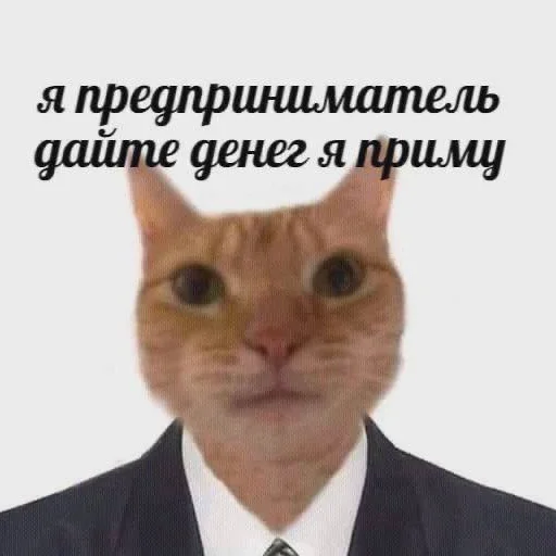 Sticker DearDiaryisalreadyfilled - 1