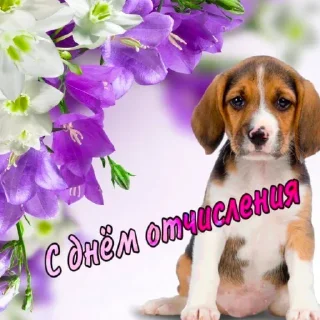 Sticker дорогой дневник - 5