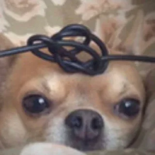 Sticker дорогой дневник - 10