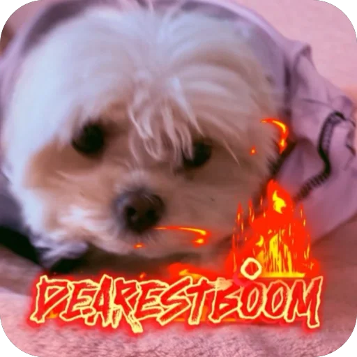 Sticker DearestboomStikerPak - 1