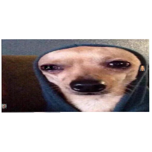 Стикер Death875 - 1