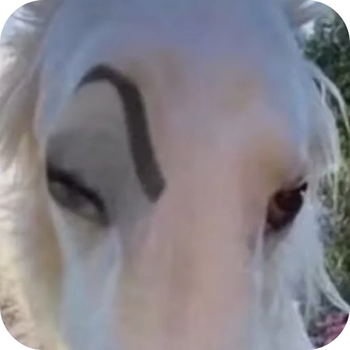 Стикер Death875 - 1