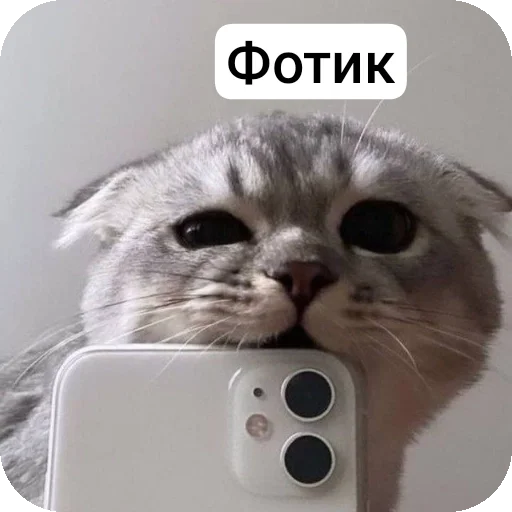 Стикер Death875 - 1