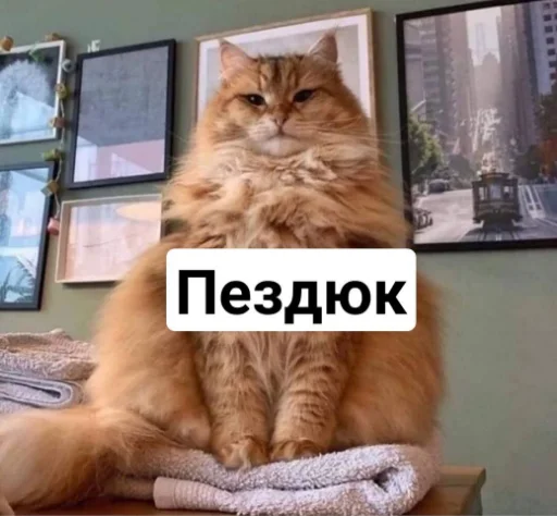 Sticker Debmemeforyou - 1