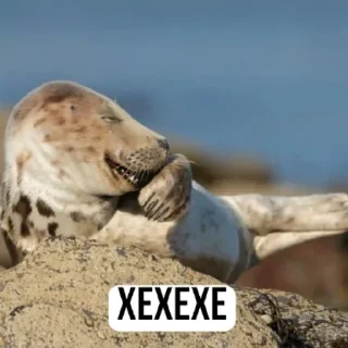 Стикер Дэбильность Для Бесед - 9