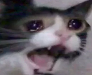 Стикер Дэбильность Для Бесед - 5