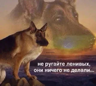 Стикер Дэбильность Для Бесед - 8