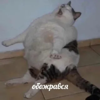 Стикер Дэбильность Для Бесед - 1