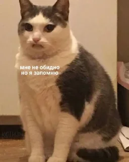 Стикер Дэбильность Для Бесед - 2