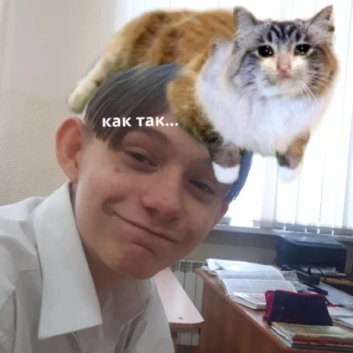 Sticker DedIzShishki7 - 1