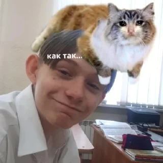 Sticker Дед из шишки - 5