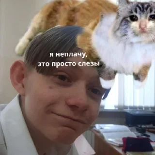 Sticker Дед из шишки - 6