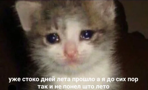 Стикер dalbayob :: @fStikBot - 1