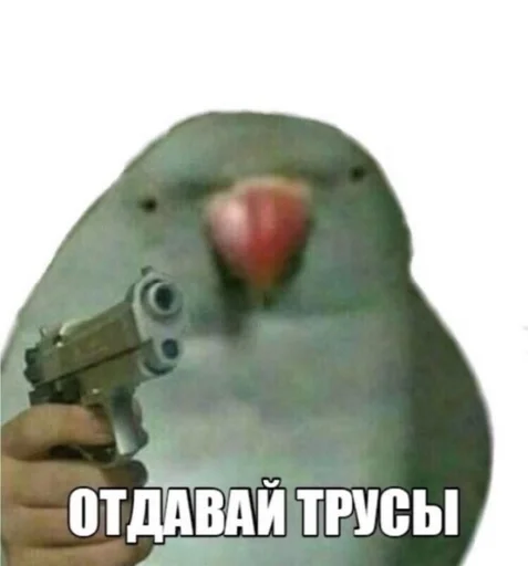 Stickers by sekranchik by @fStikBot - СМС