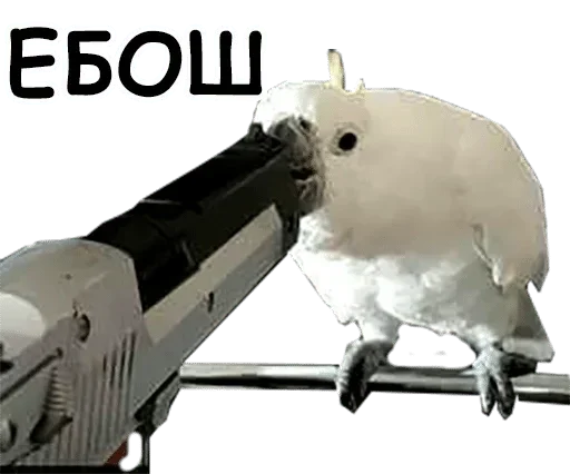 Sticker Не трогай свечу! by @fStikBot - 8