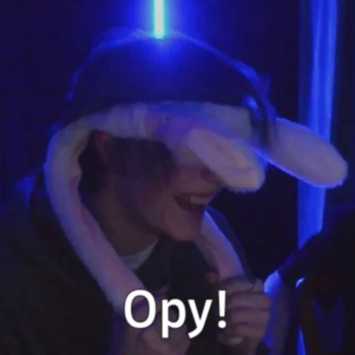 Sticker Deepins02 - 3