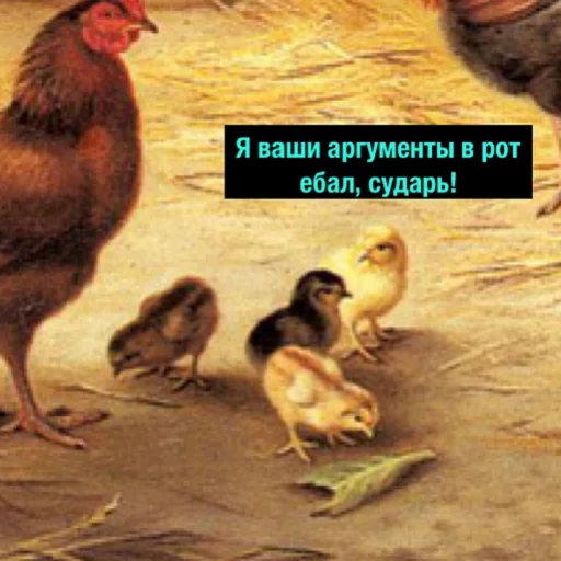 Sticker DegradachStickers - 1