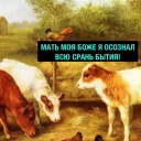 Sticker Деградач - 11