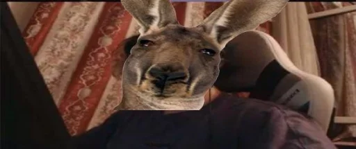 giraffe indoor person